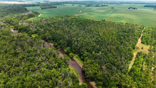 Big Creek 70 - Wildlife Habitat Property with Live Water in West Carroll Parish, LA - photo 2 of 10