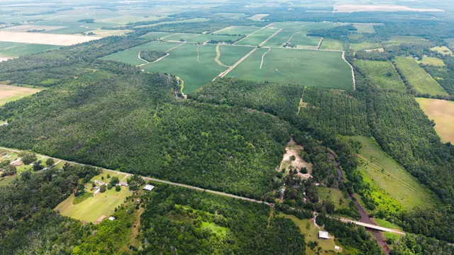 Big Creek 70 - Wildlife Habitat Property with Live Water in West Carroll Parish, LA - photo 3 of 10