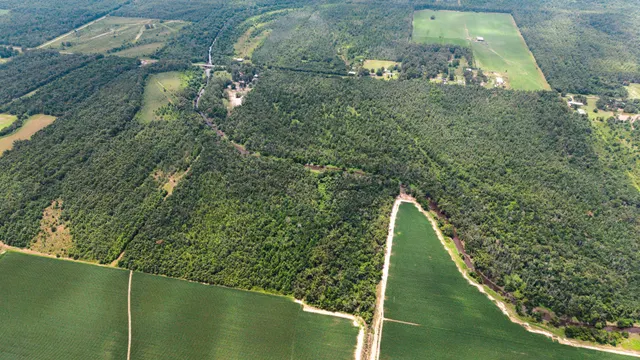Big Creek 70 - Wildlife Habitat Property with Live Water in West Carroll Parish, LA - photo 4 of 10