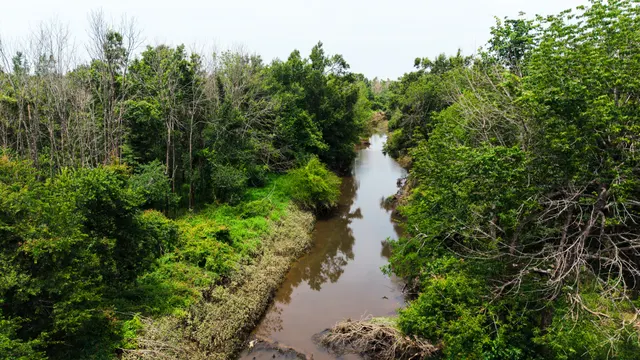 Big Creek 70 - Wildlife Habitat Property with Live Water in West Carroll Parish, LA - photo 5 of 10