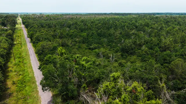 Big Creek 70 - Wildlife Habitat Property with Live Water in West Carroll Parish, LA - photo 6 of 10