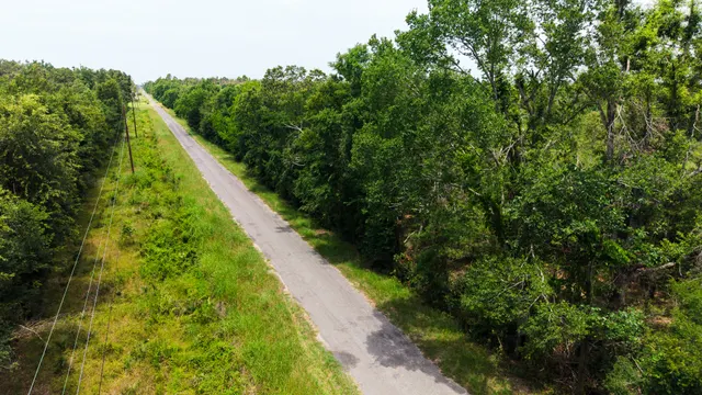 Big Creek 70 - Wildlife Habitat Property with Live Water in West Carroll Parish, LA - photo 8 of 10
