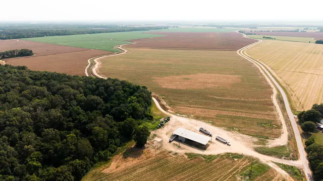 Franklin 578 - Highly Productive, Irrigated Farmland in Franklin Parish, LA - photo 2 of 10