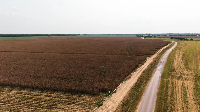 Franklin 578 - Highly Productive, Irrigated Farmland in Franklin Parish, LA - photo 3 of 10