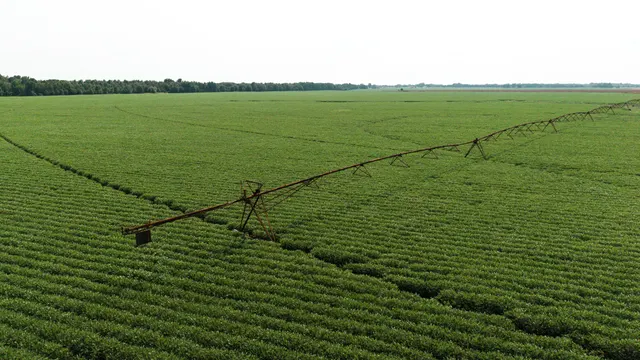 Franklin 578 - Highly Productive, Irrigated Farmland in Franklin Parish, LA - photo 4 of 10