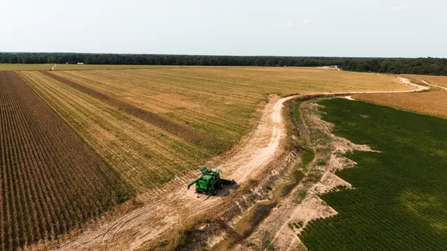 Franklin 578 - Highly Productive, Irrigated Farmland in Franklin Parish, LA - photo 5 of 10