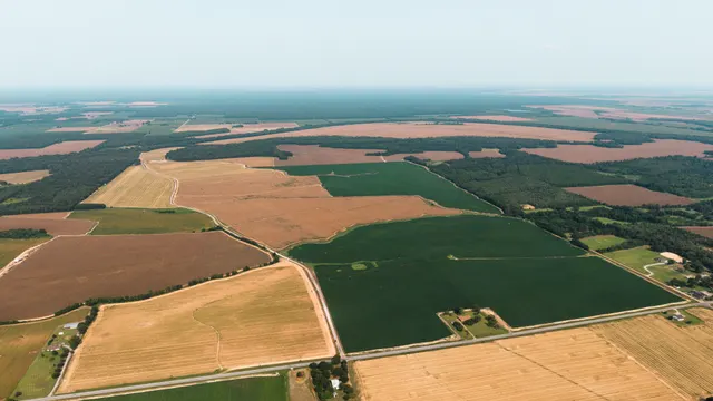 Franklin 578 - Highly Productive, Irrigated Farmland in Franklin Parish, LA - photo 6 of 10