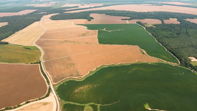Franklin 578 - Highly Productive, Irrigated Farmland in Franklin Parish, LA - photo 7 of 10