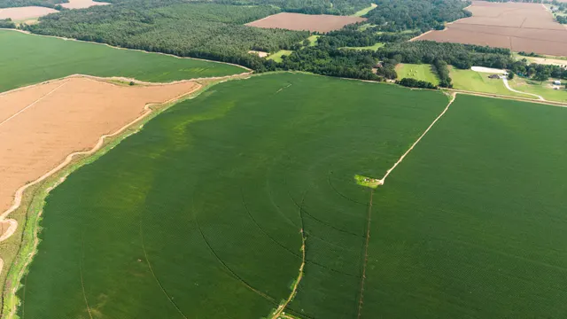 Franklin 578 - Highly Productive, Irrigated Farmland in Franklin Parish, LA - photo 8 of 10