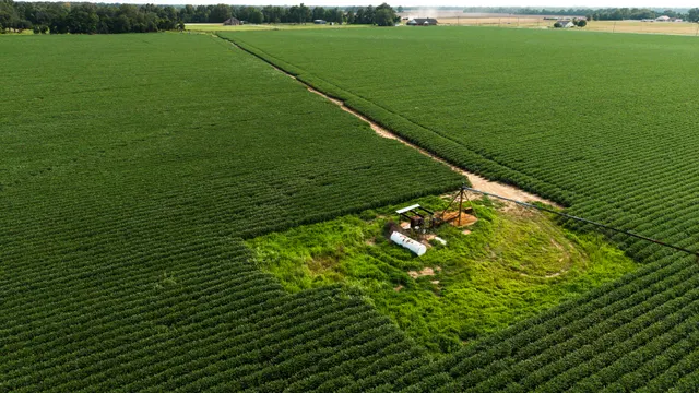 Franklin 578 - Highly Productive, Irrigated Farmland in Franklin Parish, LA - photo 9 of 10