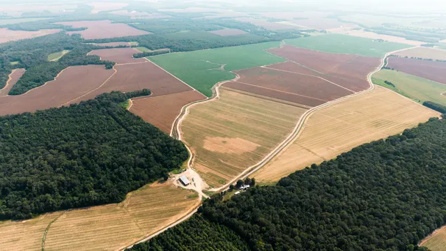 Franklin 578 - Highly Productive, Irrigated Farmland in Franklin Parish, LA