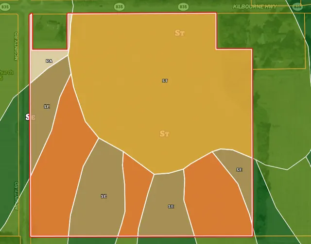 Jones 38 - Precision Leveled and Irrigated Farmland in a Prime Hunting Area of Morehouse Parish, LA - photo 3 of 3
