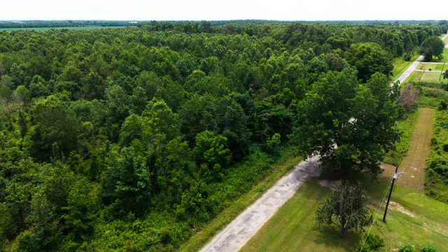 Watts Road 80 - Recreational & Timber Investment Land in West Carroll Parish, LA - photo 6 of 10